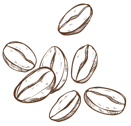 Brown coffee beans scattered on white background.