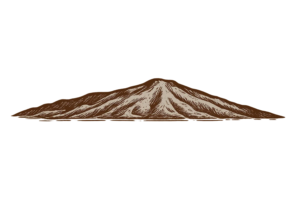 Brown and tan sketched mountain on a white background.